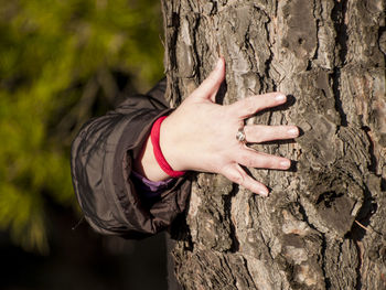 Cropped hand touching tree