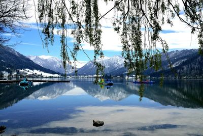 Reflection of tree and mountain in water