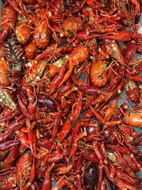 Full frame shot of red chili peppers