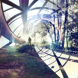 Silhouette of woman in park