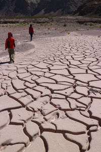 Rear view of people walking on street