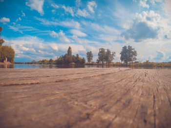 Surface level of trees on field against sky