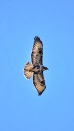 flying