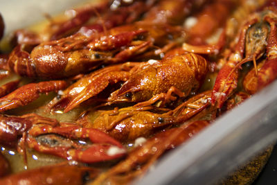 High angle view of seafood in plate