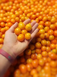 Close-up of hand holding orange