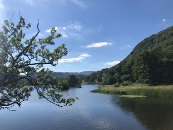 Scenic view of lake by trees against sky