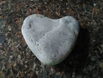 Close-up of heart shape on rock