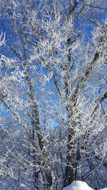 Full frame shot of snow covered landscape