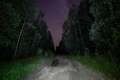 Road amidst trees in forest against sky at night