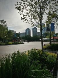 Built structure with trees in foreground