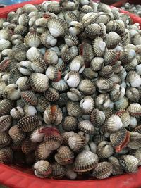 Close-up of wicker basket