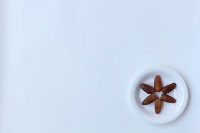 High angle view of food on white background