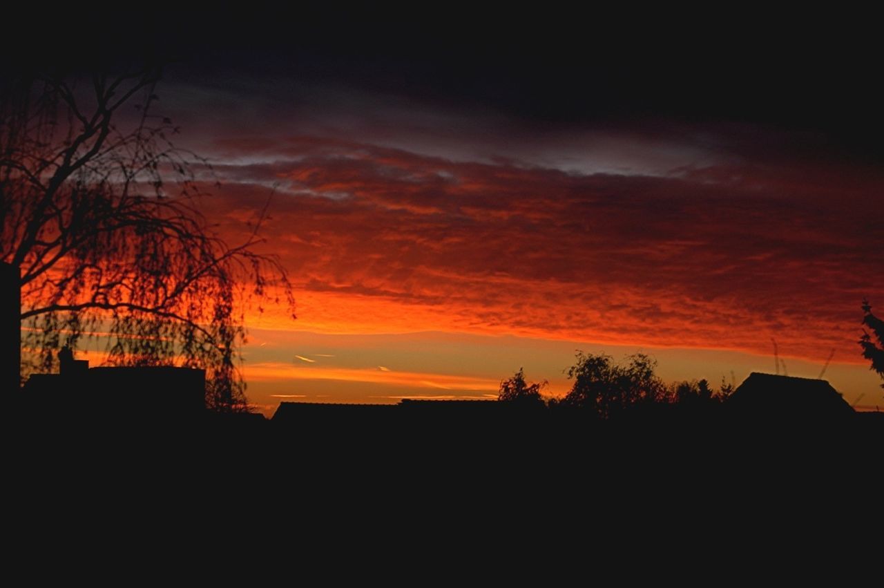 sunset, silhouette, sky, orange color, scenics, beauty in nature, tree, cloud - sky, tranquility, tranquil scene, dramatic sky, nature, bare tree, idyllic, cloud, dark, dusk, moody sky, cloudy, built structure