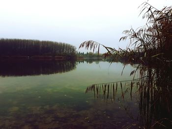 Scenic view of lake against clear sky