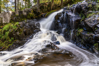 Long exposure view of waterfall in forest