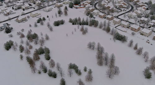 High angle view of trees on snow covered field