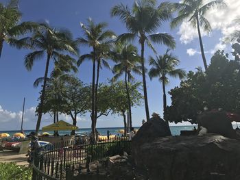 Palm trees on beach against sky