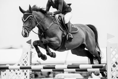 Midsection of man riding horse