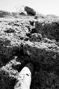 Close-up of rocks on shore