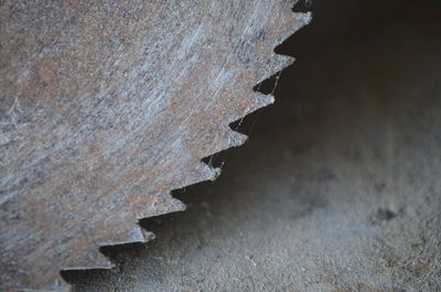 Full frame shot of rusty metal on wall