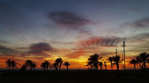 Silhouette palm trees on beach against sky during sunset