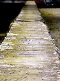 Surface level of wooden walkway
