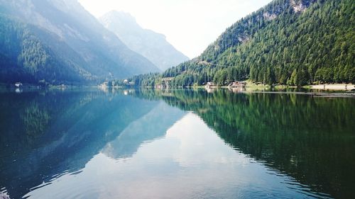 Reflection of lush trees with calm lake