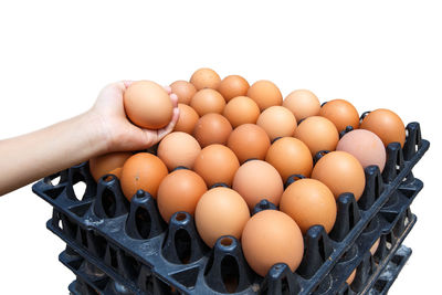 Close-up of hand holding eggs