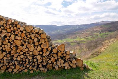 Stack of logs on landscape against sky