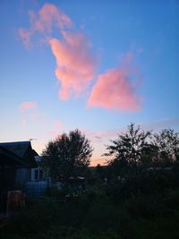 Trees and houses on field against sky at sunset