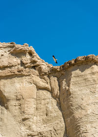 Low angle view of bird flying against clear blue sky