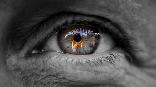 Close-up of human eye
