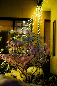 Close-up of illuminated flower vase on table at home