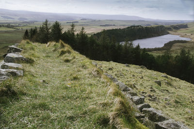 Hadrians wall on field against sky