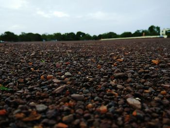 Surface level of ground against sky