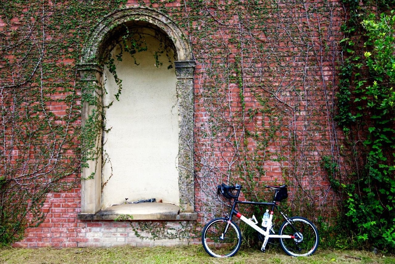 bicycle, building exterior, architecture, built structure, mode of transport, transportation, window, arch, land vehicle, house, wall - building feature, wall, brick wall, stationary, parked, stone wall, door, day, entrance, tree