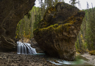 Scenic view of waterfall in forest