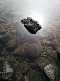 Close-up of rocks in sea