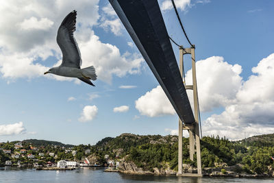 Low angle view of bird flying under bridge over river against sky