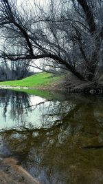 Reflection of trees in lake against sky