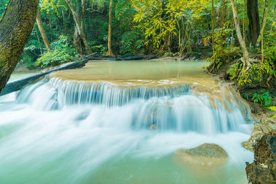 Scenic view of waterfall in forest