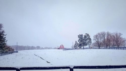 Bare trees on snow covered landscape