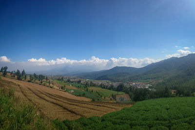 Scenic view of agricultural field against sky