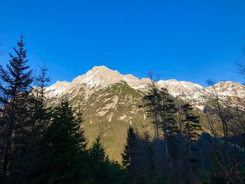 Scenic view of snowcapped mountains against clear blue sky