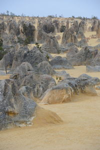 Scenic view of rocks on land
