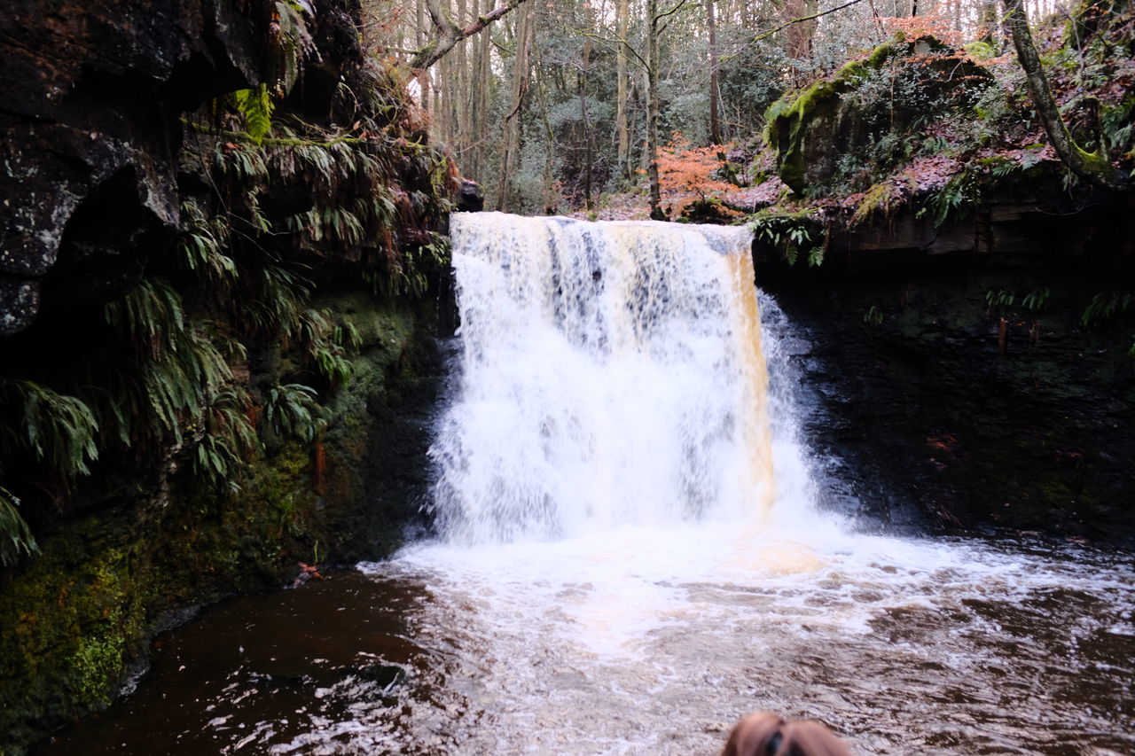 waterfall, water, body of water, motion, beauty in nature, river, flowing water, tree, scenics - nature, nature, stream, water feature, long exposure, plant, forest, rock, watercourse, rapid, blurred motion, land, day, spring, flowing, splashing, water resources, outdoors, environment, non-urban scene, creek, sports, autumn, one person, surfing, water sports, power in nature, idyllic