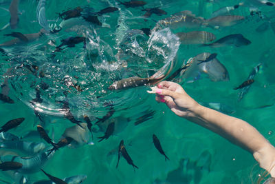 The hand of a young white woman feeding tropical fish in the aegean sea