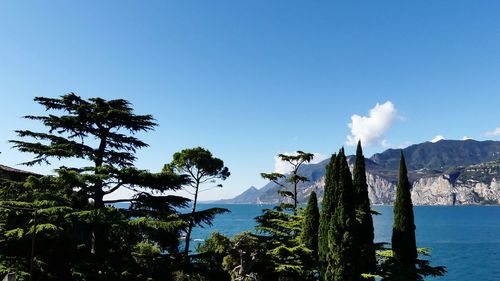 Scenic view of sea against clear blue sky