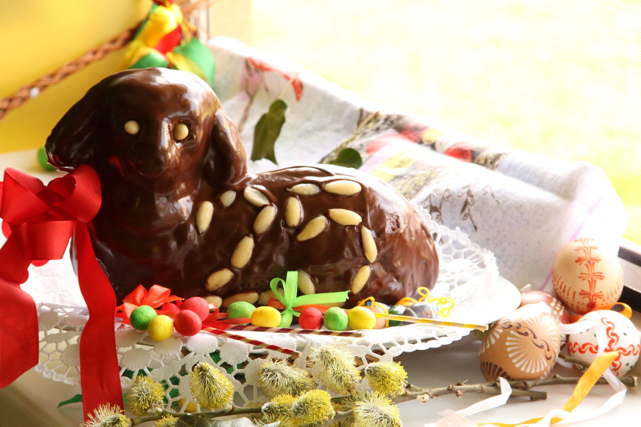 CLOSE-UP OF DOG WITH MULTI COLORED CANDIES