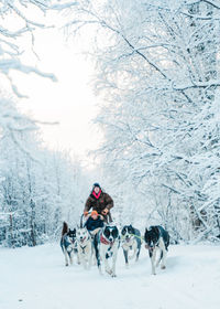 People with dog on snow